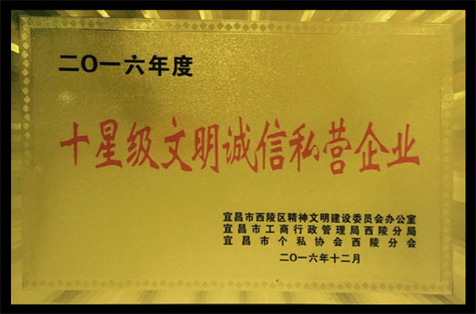 2016年度十星級(jí)文明誠信私營企業(yè)